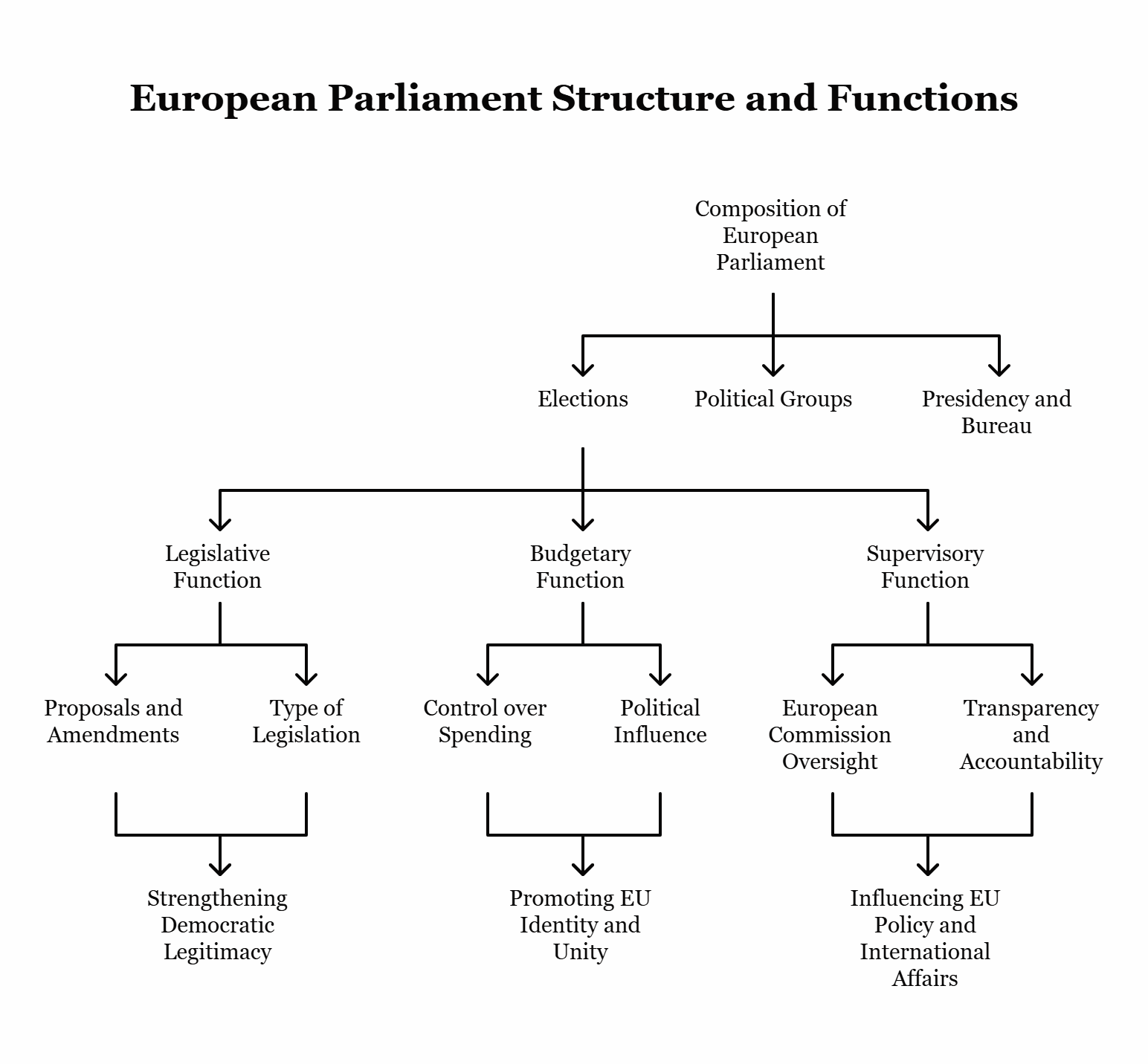 Describe the composition, functions, and role of the European Parliament.